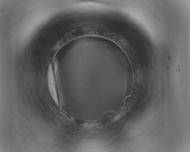 X0000076380763200610271528