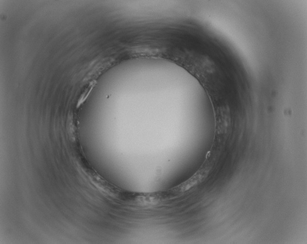 X0000076380764200610271528