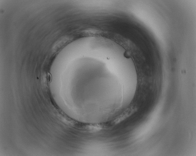 X0000076380765200610271528