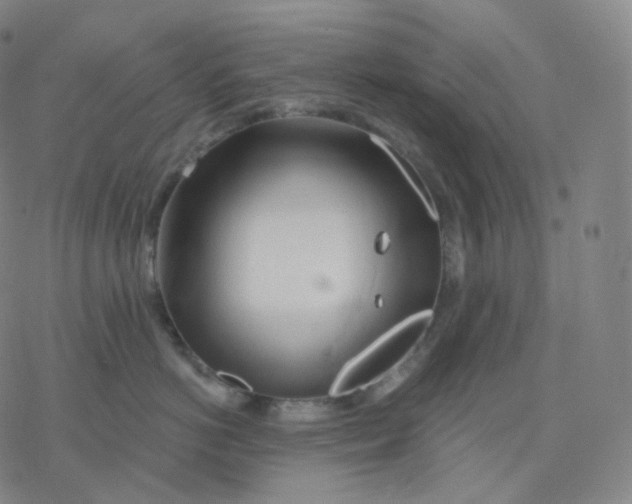 X0000076380766200610271528