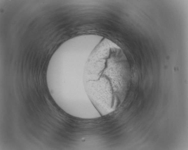 X0000076380767200610271528