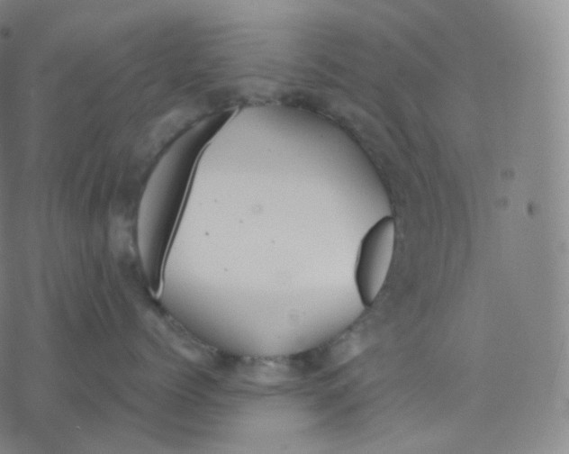 X0000076380768200610271528