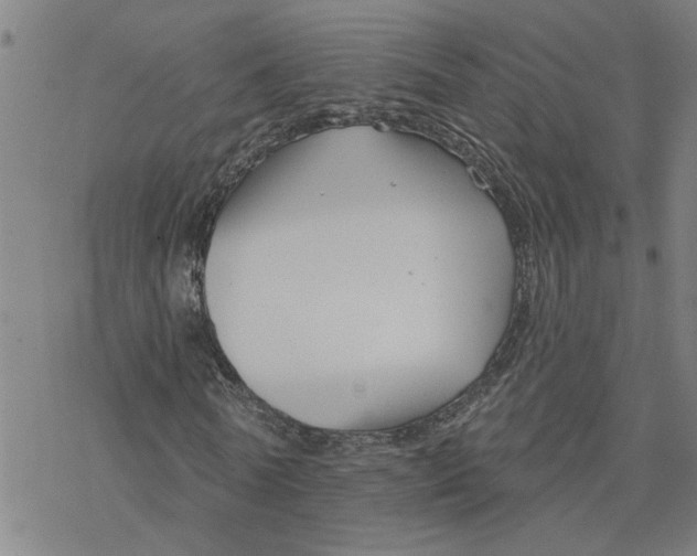 X0000076380770200610271527