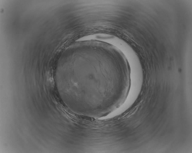 X0000076380771200610271527