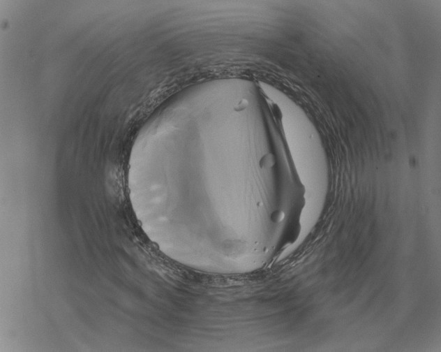 X0000076380772200610271527