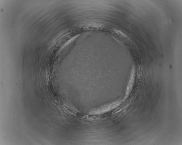 X0000076380774200610271527