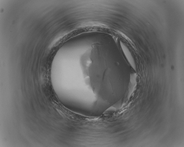 X0000076380775200610271527