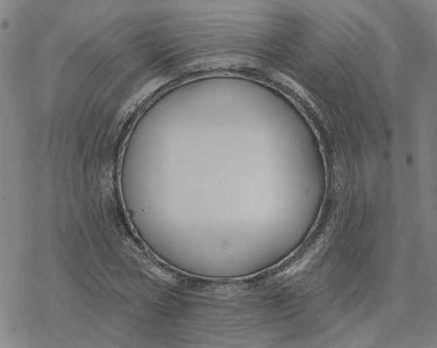 X0000076380778200610271527