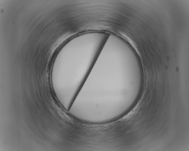 X0000076380779200610271527