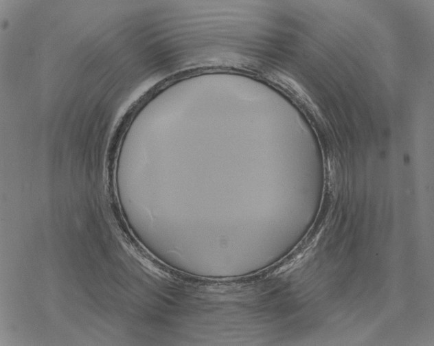 X0000076380780200610271527