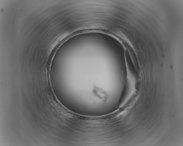 X0000076380781200610271527