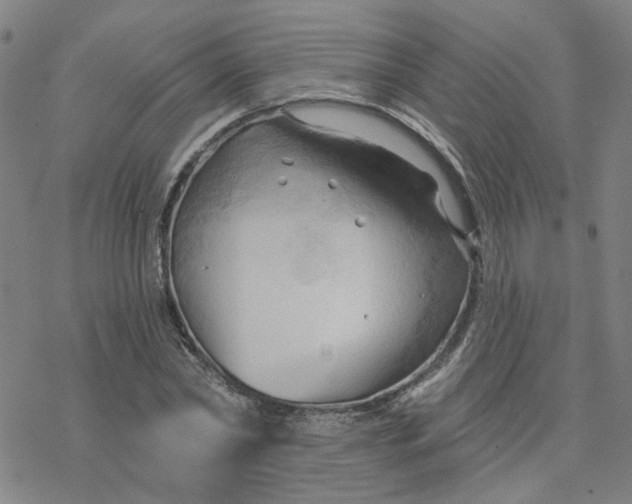 X0000076380782200610271527