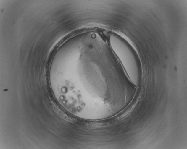 X0000076380783200610271527