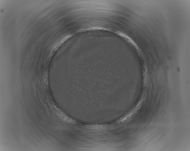 X0000076380785200610271527