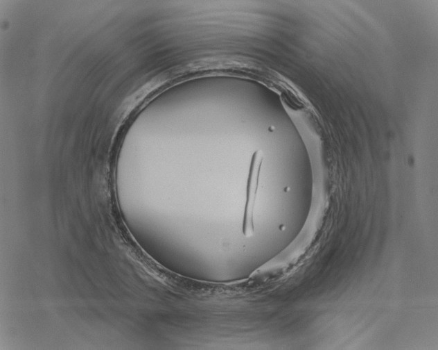 X0000076380786200610271527