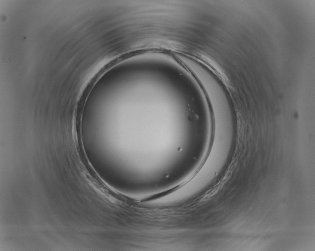 X0000076380788200610271527