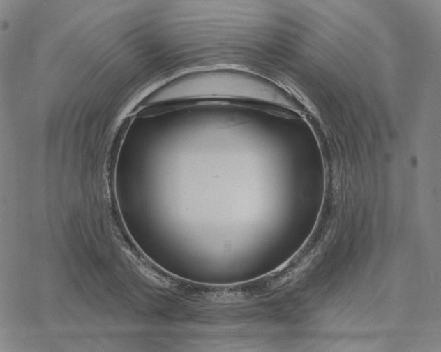 X0000076380789200610271527