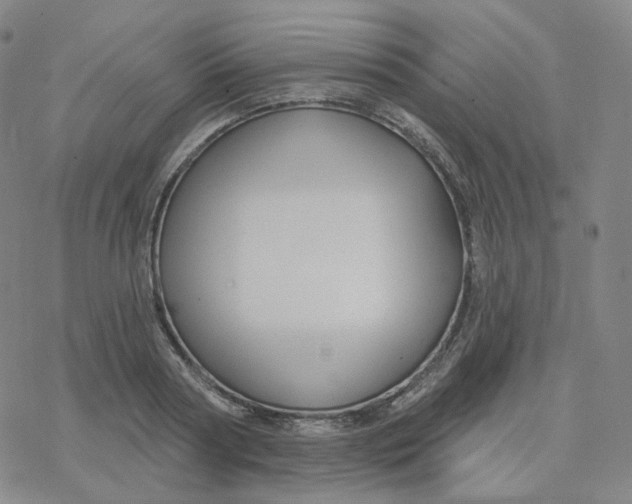 X0000076380794200610271526