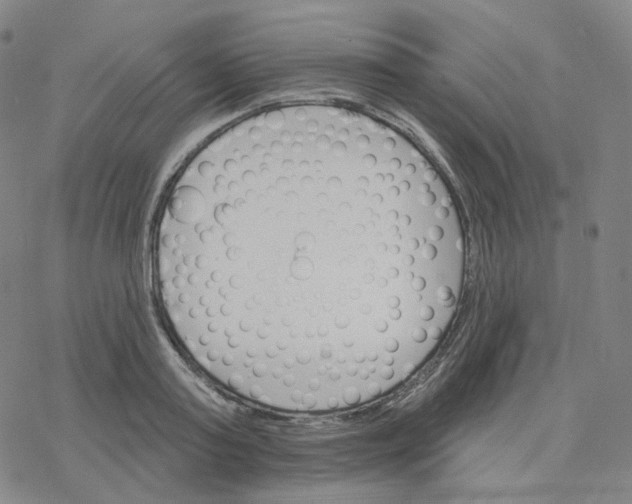 X0000076380795200610271526