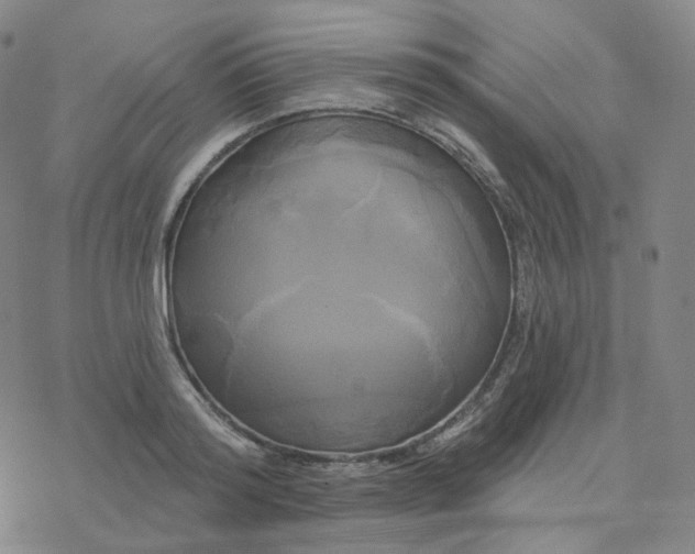 X0000076380796200610271526