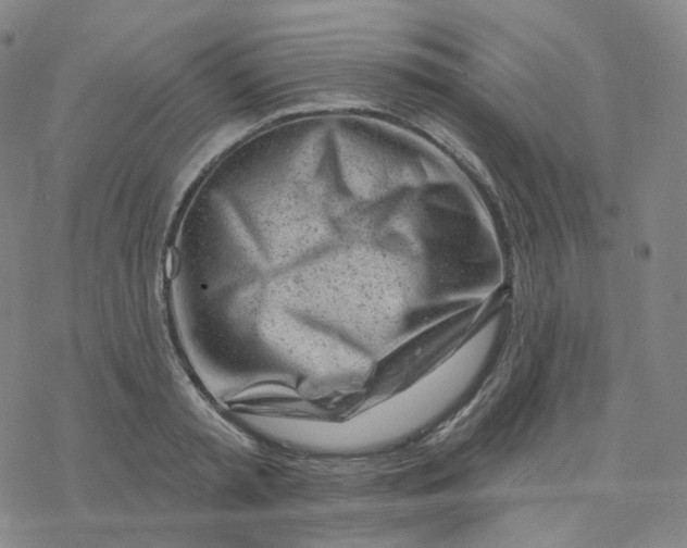 X0000076380797200610271526