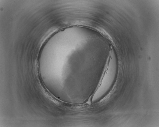 X0000076380798200610271526