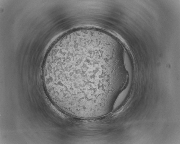 X0000076380799200610271526