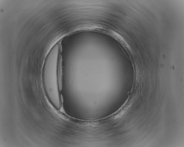 X0000076380802200610271526