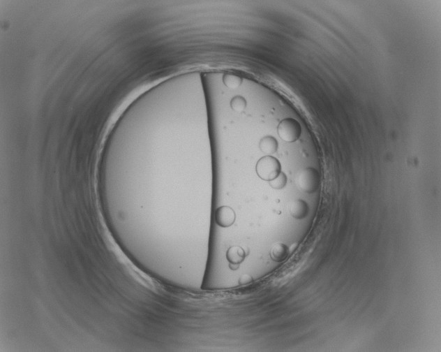 X0000076380803200610271526