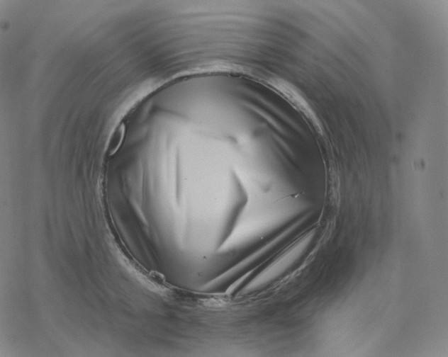 X0000076380805200610271526