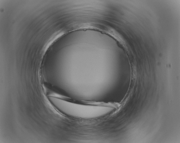 X0000076380806200610271526