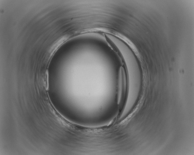 X0000076380809200610271526