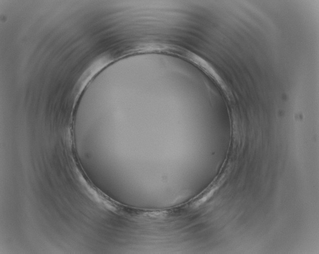 X0000076380810200610271526