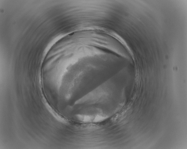 X0000076380811200610271526