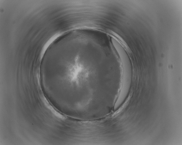 X0000076380812200610271526