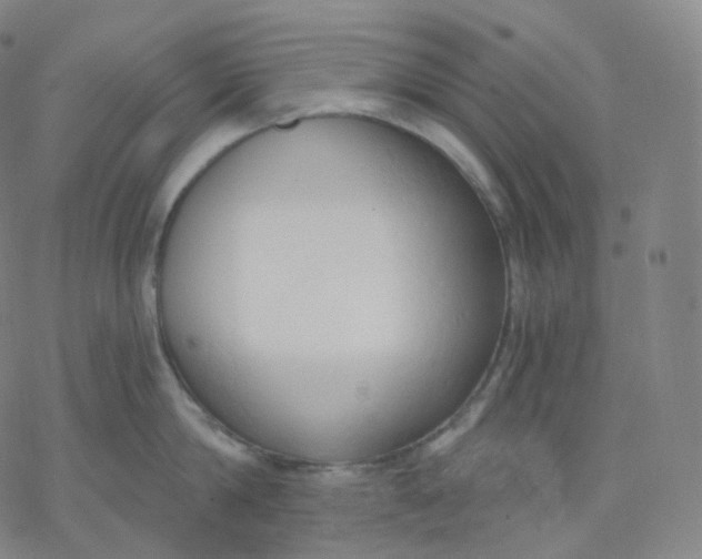 X0000076380814200610271526