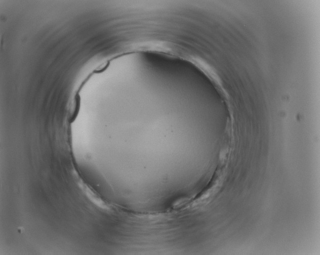 X0000076380816200610271526