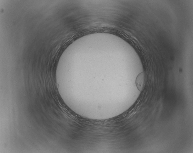 X0000076380820200610271525