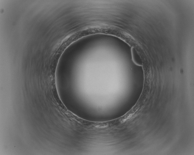 X0000076380822200610271525