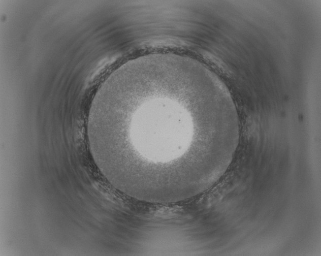 X0000076380824200610271525