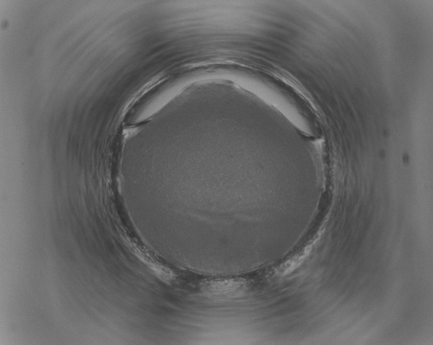 X0000076380826200610271525