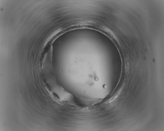 X0000076380827200610271526