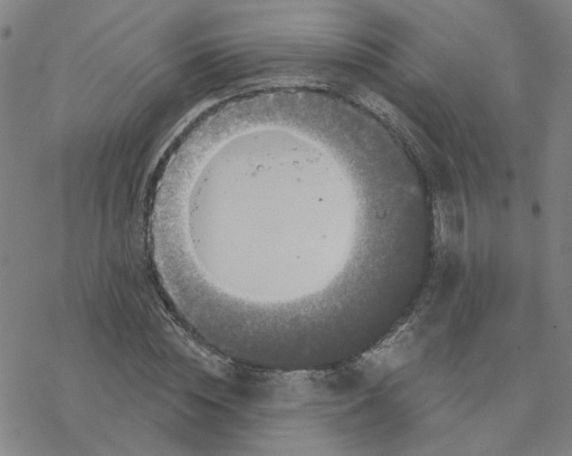 X0000076380828200610271526