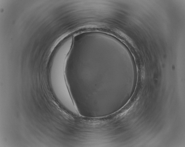 X0000076380829200610271526