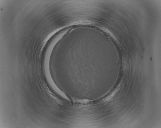 X0000076380830200610271526