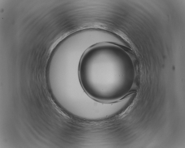 X0000076380834200610271526