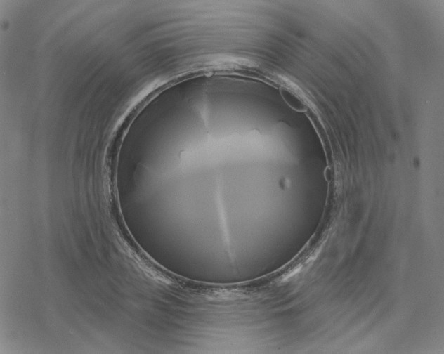 X0000076380835200610271526