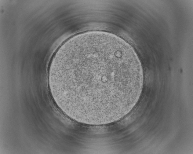 X0000076380836200610271526