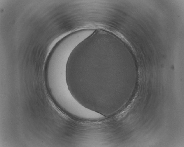 X0000076380838200610271526