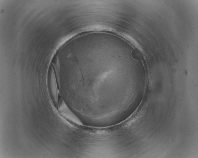 X0000076380839200610271526